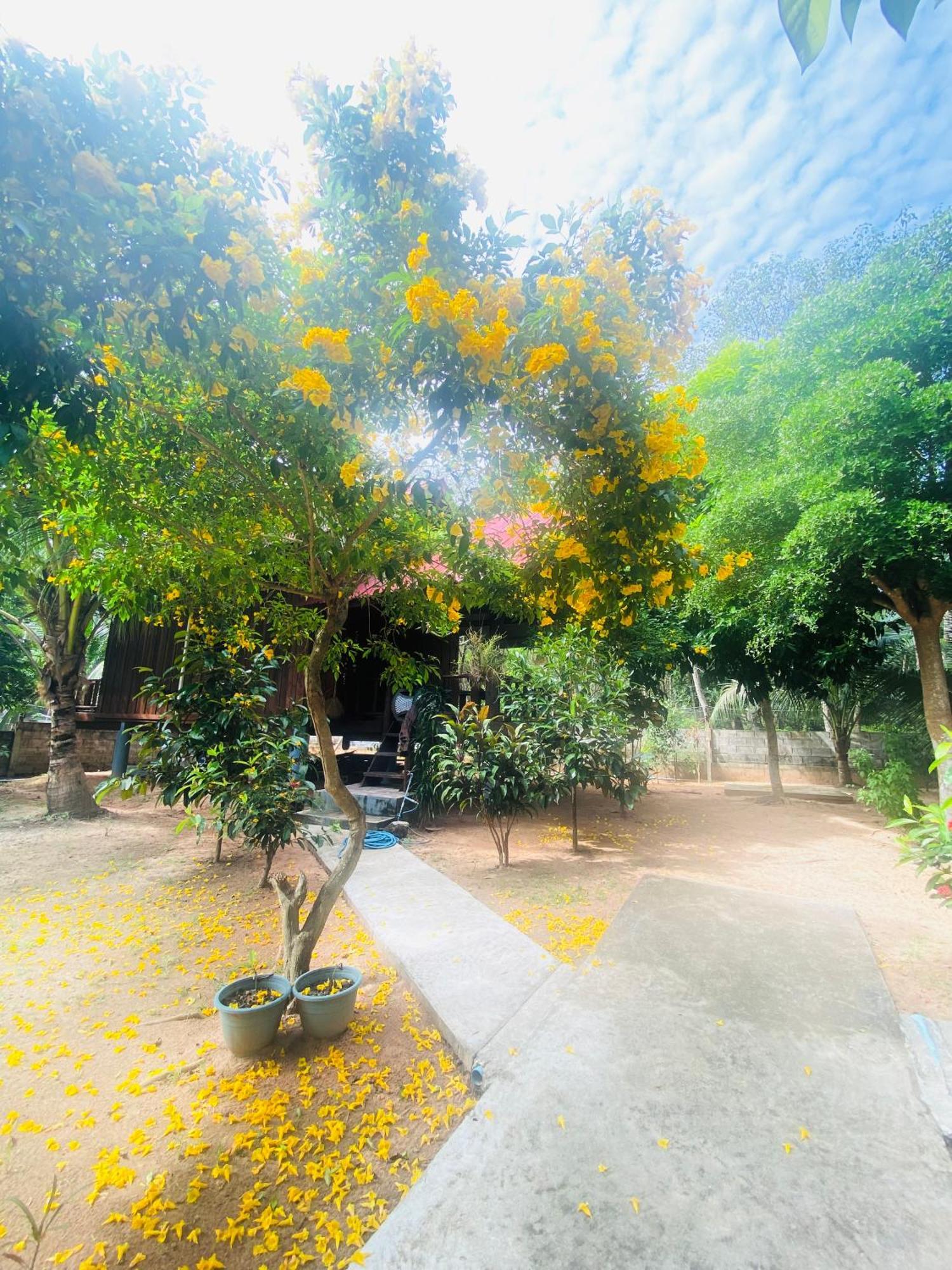 Nadia Resort Kohjum Koh Jum Bagian luar foto