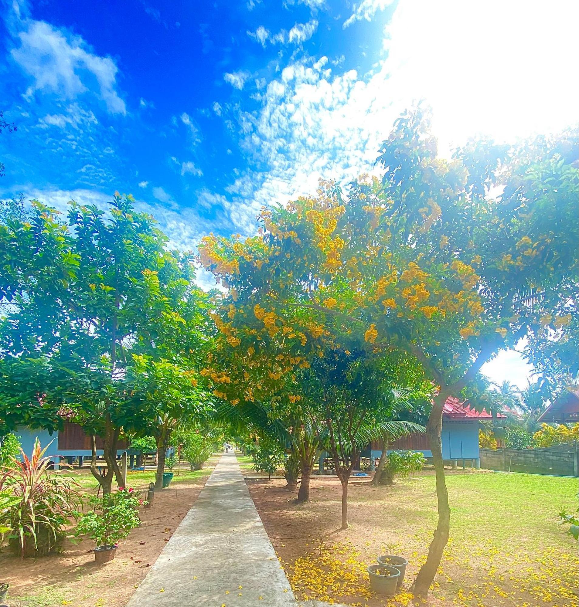 Nadia Resort Kohjum Koh Jum Bagian luar foto