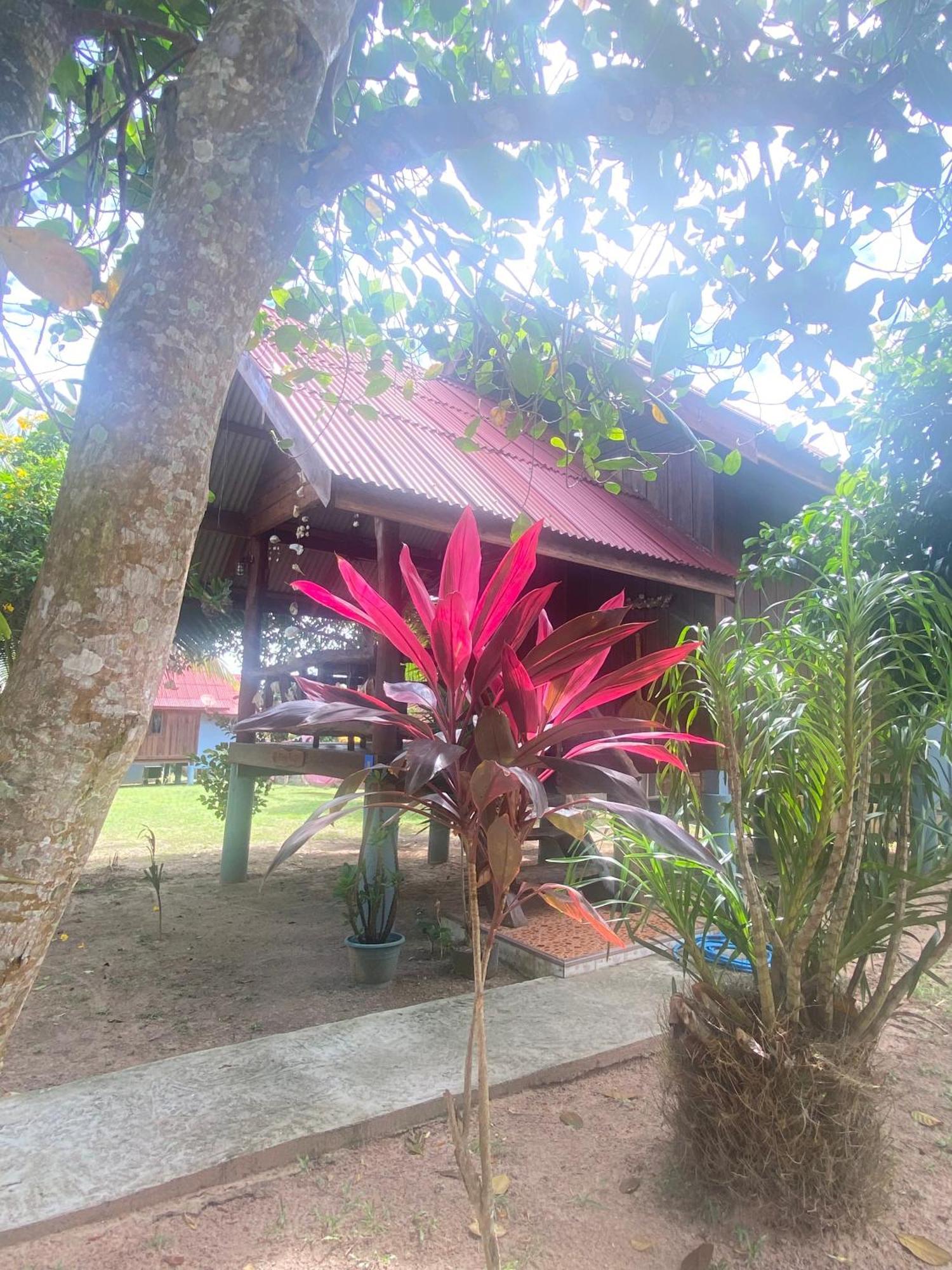 Nadia Resort Kohjum Koh Jum Bagian luar foto